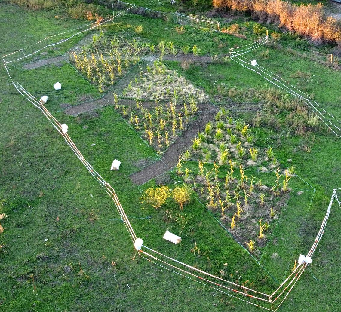 5 - GENERAL PRESPECTIVA